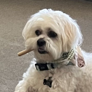 Meet your Posher, Paree